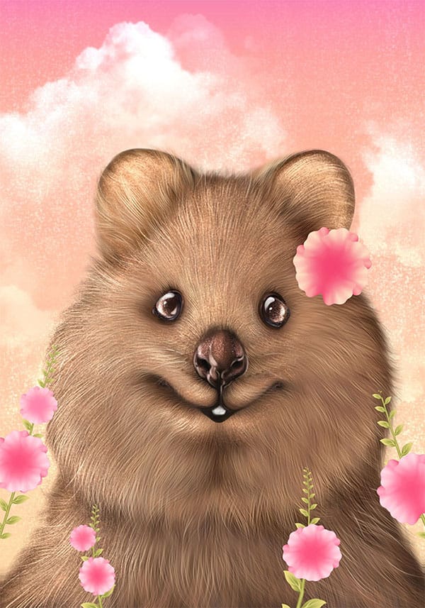 Quokka Sample Artwork